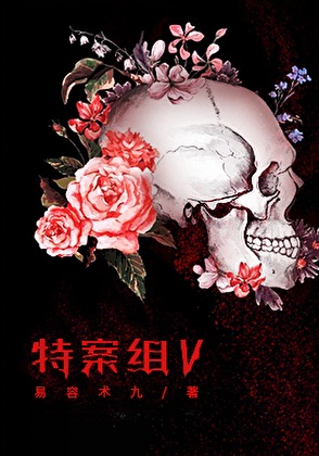 《特殊案件调查组Ⅴ》作者：易容术九【完结】