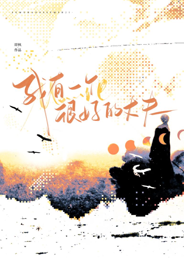 《我有一个很好的丈夫》作者：即枫【完结】