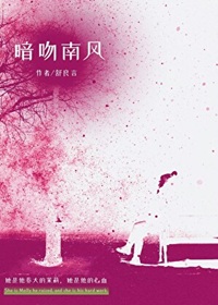 《暗吻南风》作者：舒良言【完结】
