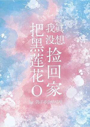 《我真没想把黑莲花O捡回家》作者：鸽子不会咕咕咕【完结+番外】