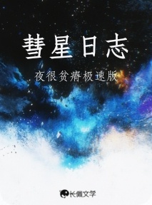 《彗星日志》作者：夜很贫瘠极速版【CP完结】