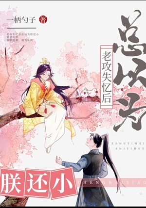 《沙雕大将军又失忆了》作者：一柄勺子【完结+番外】