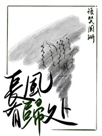 《长风有归处》作者：语笑阑珊【完结+番外】