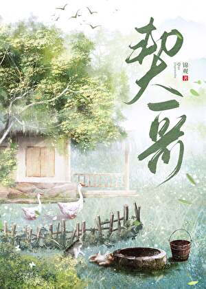 《契哥[种田]》作者：锦观【完结】