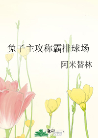 《（排球少年同人）兔子主攻称霸排球场》作者：阿米替林【完结+番外】