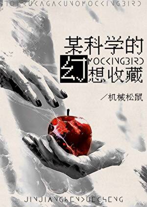 《（综漫同人）某科学的幻想收藏》作者：机械松鼠【完结】