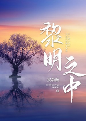 《黎明之中》作者：宸蔚颜【完结】