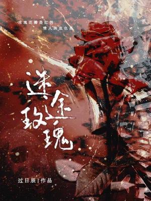 《迷途玫瑰》作者：过日辰【CP完结】