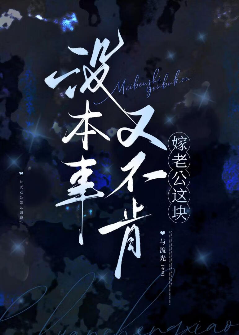 《没本事又不肯嫁老公这块》作者：与流光【完结】
