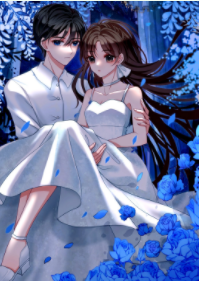 《好看得不行[无限]》作者：南木有林【完结+番外】