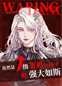 《虽然是1级菜鸡，但强大如斯[无限]》作者：岁时钦【完结】