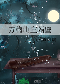 《（武侠同人）万梅山庄隔壁》作者：风雨琉璃【完结】