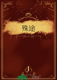 《殊途》作者：品丰【完结】