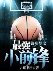 《篮球梦之最强小前锋》作者：古藏书屋【完结】