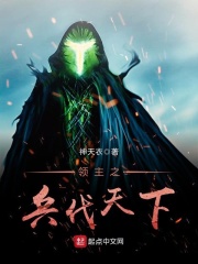 《领主之兵伐天下》作者：神天衣【完结】