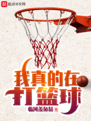 《我真的在打篮球》作者：临河羡鱼翁【完结】