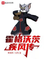 《（HP/火影同人）霍格沃茨疾风传》作者：林北的三文鱼【完结】