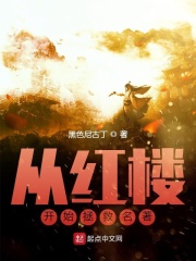 《从红楼开始拯救名著》作者：黑色尼古丁【完结】