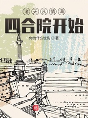 《诸天从情满四合院开始》作者：你为什么忧伤【完结】