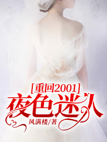 《重回2001：夜色迷人》作者：风满楼【完结】