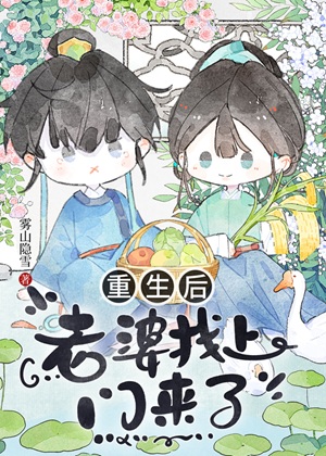 《重生后老婆找上门来了》作者：雾山隐雪【完结】