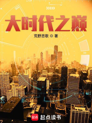 《大时代之巅》作者：荒野悲歌【完结】