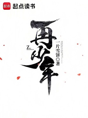 《再少年》作者：一片雪饼【完结】