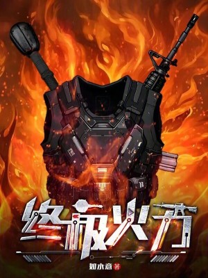 《终极火力》作者：如水意【完结】