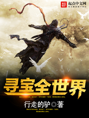 《寻宝全世界》作者：行走的驴【完结】