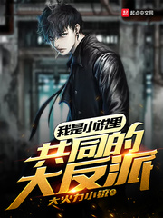 《我是小说里共同的大反派》作者：大火力小铳【完结】