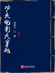《功夫电影大穿越》作者：挂前川【完结】