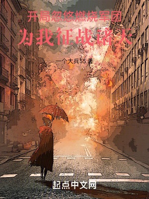 《诸天从海贼开始忽悠老岳父》作者：一个大兵55【完结】