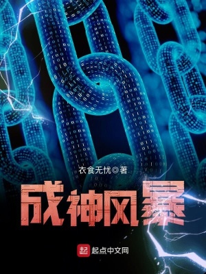 《成神风暴》作者：衣食无忧【完结】