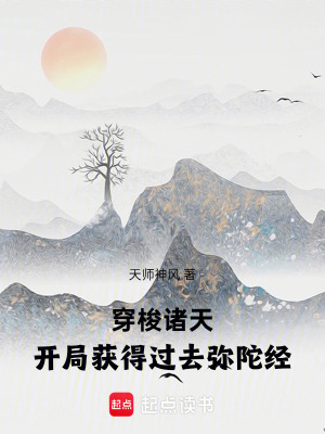 《穿梭诸天：开局获得过去弥陀经》作者：天师神风【完结】