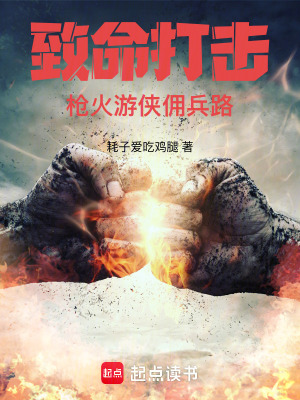 《致命打击：枪火游侠佣兵路》作者：耗子爱吃鸡腿【完结】