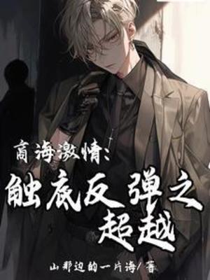 《商海激情：触底反弹之超越》作者：山那边的一片海【完结】