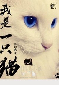 《我是一只猫》作者：夜泊人【完结+番外】
