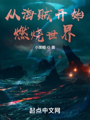 《从海贼开始燃烧世界》作者：小黑帽【完结】