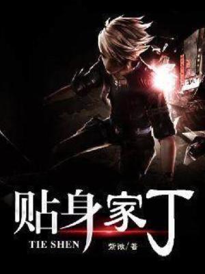 《贴身家丁》作者：紫微【完结】