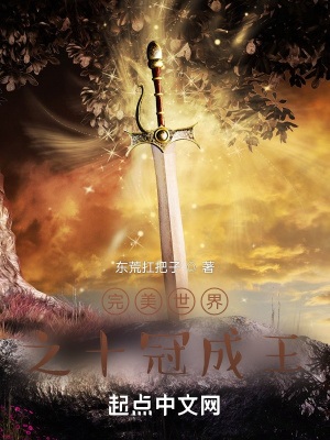 《完美世界之十冠成王》作者：东荒扛把子【完结】