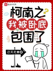 《（柯南同人）柯南之我被卧底包围了》作者：已灭无常【完结+番外】