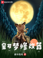 《（精灵宝可梦同人）宝可梦修改器》作者：骑车的风【完结】