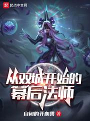 《（英雄联盟同人）从双城开始的幕后法师》作者：自闭的开心果【完结】
