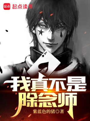 《（全职猎人同人）猎人：我真不是除念师》作者：紫蓝色的猪【完结+番外】 ...