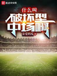 《什么叫破坏型中场啊》作者：亲爱的瓜【完结+番外】