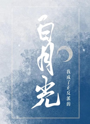《我成了正反派的白月光》作者：安南以南【完结+番外】
