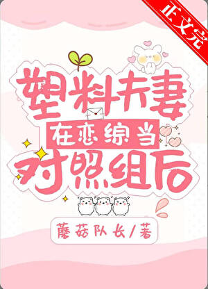 《塑料夫妻在恋综当对照组后》作者：蘑菇队长【完结】