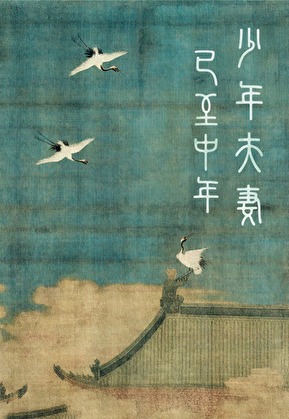 《少年夫妻已至中年》作者：云外声【完结+番外】