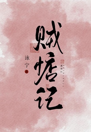 《贼惦记》作者：泳宁【完结+番外】