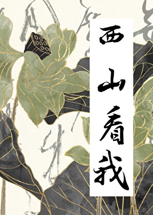 《西山看我》作者：一明觉 书【完结+番外】